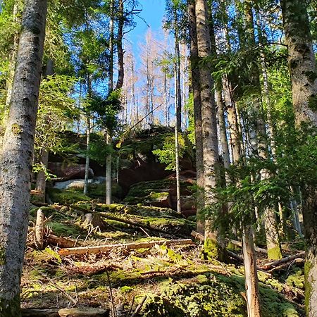 La Gambas Des Bois Villa Saint-Quirin Kültér fotó