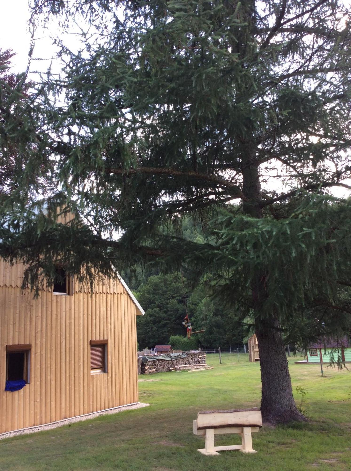 La Gambas Des Bois Villa Saint-Quirin Kültér fotó